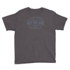 never been this old before Youth Tee