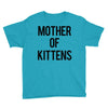 mother of kittens Youth Tee
