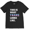 This is What Trans Looks Like V-Neck Tee