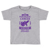 I am a Pancreatic Cancer Survivor - What's Your Superpower? Toddler T-shirt
