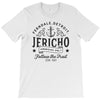 Ferndale Detroit T-Shirt