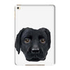 Dog2 iPad Mini 4