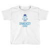 keep calm and grandaddy on! Toddler T-shirt