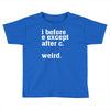 i before e except after c Toddler T-shirt
