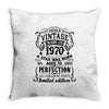 Vintage 1970 Throw Pillow