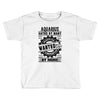 Aquarius Hated By Many Wanted By Plenty Toddler T-shirt