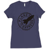 planet express Ladies Fitted T-Shirt