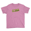 ask me about my llama Youth Tee