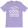 this is what a cool grandma looks like T-Shirt
