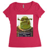 shrek mug shot funny Women's Triblend Scoop T-shirt