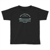 edmund fitzgerald1 Toddler T-shirt