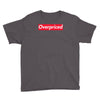 overpriced Youth Tee