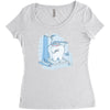 dental hygiene Women's Triblend Scoop T-shirt