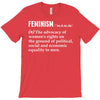 Feminism Noun T-Shirt