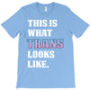 This is What Trans Looks Like T-Shirt