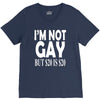 new i'm not gay but $20 is $20 V-Neck Tee