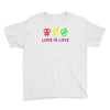love is love Youth Tee