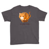 if it fits i sits Youth Tee