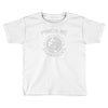 pinch me shamrocks Toddler T-shirt