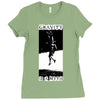 gravity is a myth Ladies Fitted T-Shirt