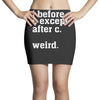 i before e except after c Mini Skirts