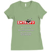 Entropy: The Ultimate Thermodynamics Game Ladies Fitted T-Shirt