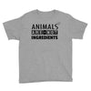 Animals Are Not Ingredients Youth Tee