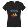 never forget Women's V-Neck T-Shirt