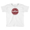 never falling confucius Toddler T-shirt