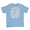 are you kitten me right meow Youth Tee