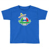 celebrate cinco de mayo Toddler T-shirt