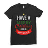 have a merry christmas and a happy new year Ladies Fitted T-Shirt