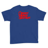 funny  wtf, ideal birthday present or gift Youth Tee