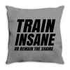 Train Insane Or Remain The Same Throw Pillow