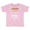 Gemini Hated By Many Wanted By Plenty Disliked By Some Confronted By N Toddler T-shirt