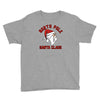 north pole santa claus Youth Tee