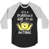 purrfect day 3/4 Sleeve Shirt