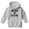 mother of kittens Youth Hoodie