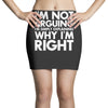 i'm not arguing i'm simply explaining why i'm right Mini Skirts