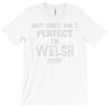 perfect welsh T-Shirt