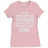 if my bedlington terrier doesn't like you i probably won't either Ladies Fitted T-Shirt