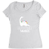 Brother Saurus Women's Triblend Scoop T-shirt