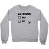 am i drunk Crewneck Sweatshirt