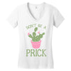 don't be a prick Women's V-Neck T-Shirt