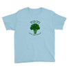 one cheer for broccoli Youth Tee