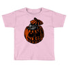 hidden Toddler T-shirt