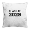 class of 2029 Throw Pillow