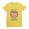 my cat is on the internet Ladies Fitted T-Shirt