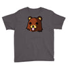 bear meme Youth Tee