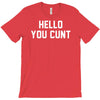 hello you c'nt T-Shirt
